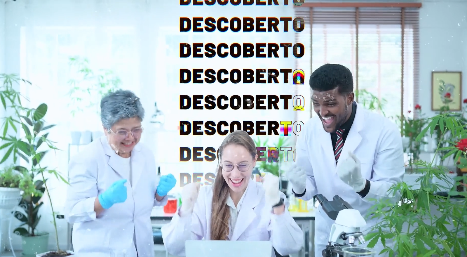 VSL Sem Expert - Animação Motion